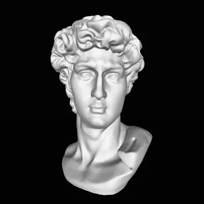 David (quét bằng máy quét 3D Revopoint POP)