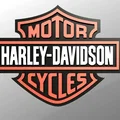 Biểu tượng Harley Davidson 9" với chữ nổi và móc treo - Thumbnail 3
