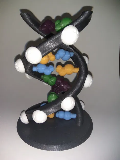 Chuỗi DNA với các thành phần chính của nó - Image 1