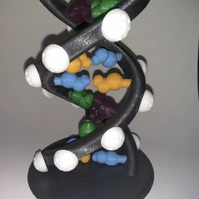 Chuỗi DNA với các thành phần chính của nó