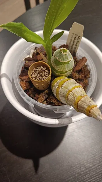 Giỏ đựng phân bón cho cây trồng khi tưới nước - Image 2