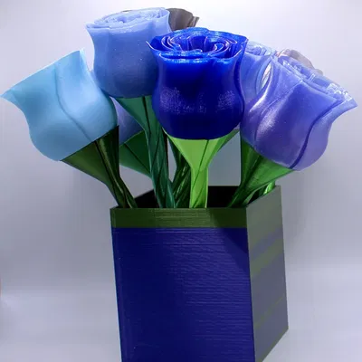 Bình hoa hình vuông đa năng cho hoa hồng Spiral