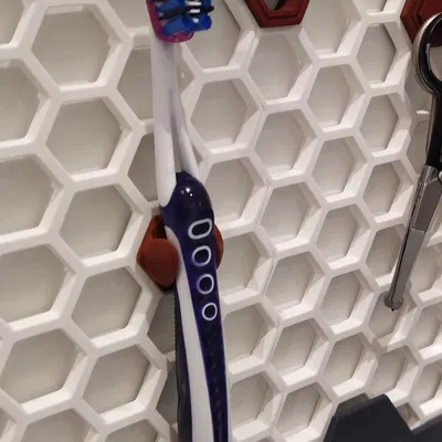 Giá đỡ bàn chải đánh răng HSW kết nối với Lord Edel