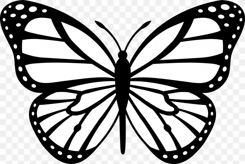 Bướm MMU nhiều màu sắc cho máy in Bambu Labs X1C - Image 2