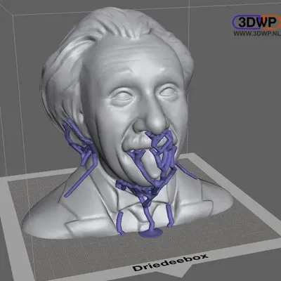 Tượng bán thân Albert Einstein được chỉnh sửa 3D