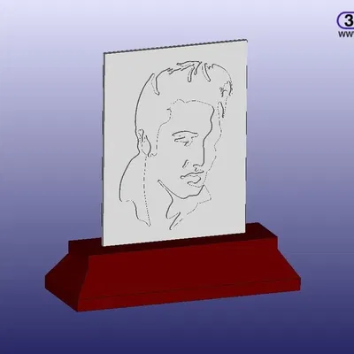 Silhouette của Elvis trong phiên bản remix độc đáo