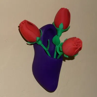 Móc treo giày gỗ kiểu Hà Lan treo tường