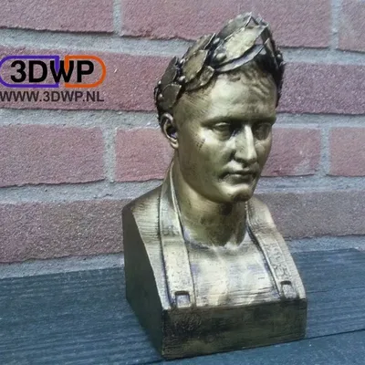 Tượng bán thân Napoleon từ Usher Gallery tại Lincoln