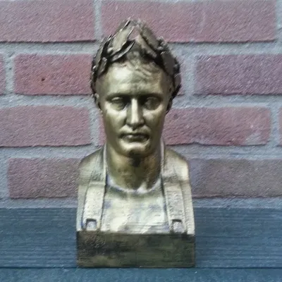 Tượng bán thân Napoleon từ Usher Gallery tại Lincoln