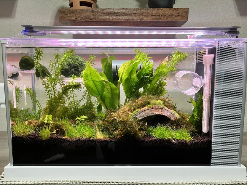 Thiết bị khuếch tán nước Fluval Spec V với cạnh bo tròn - Image 1