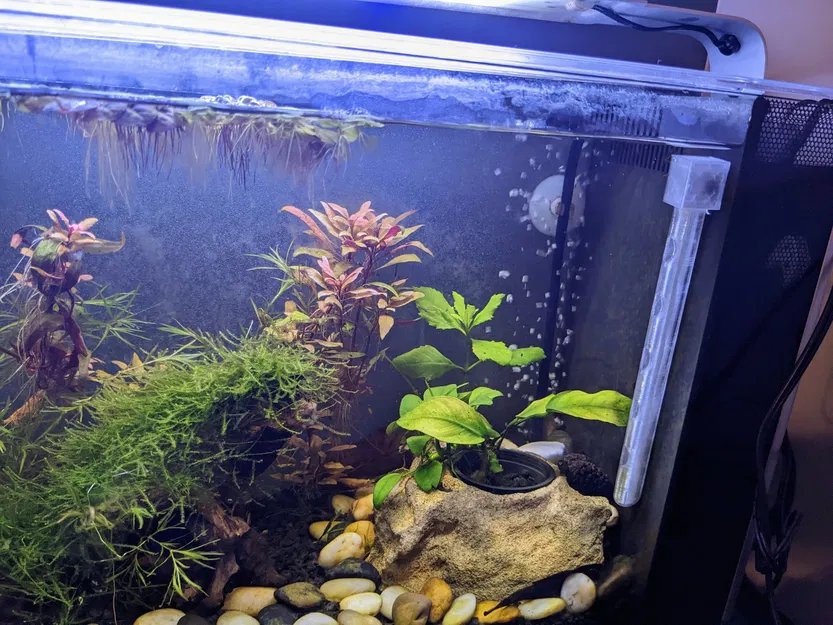 Bộ khuếch tán nước đứng Fluval Spec V cho bể cá nhỏ - Image 1