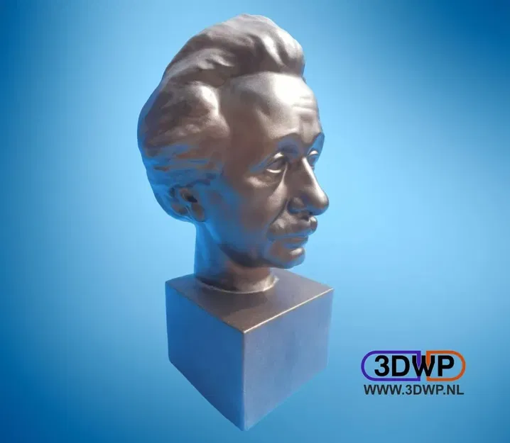 Tượng bán thân Albert Einstein quét 3D từ Usher Gallery - Image 1