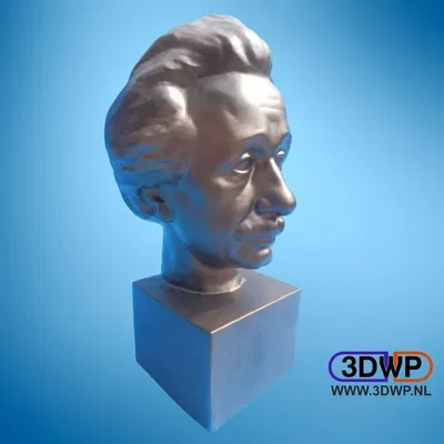 Tượng bán thân Albert Einstein quét 3D từ Usher Gallery