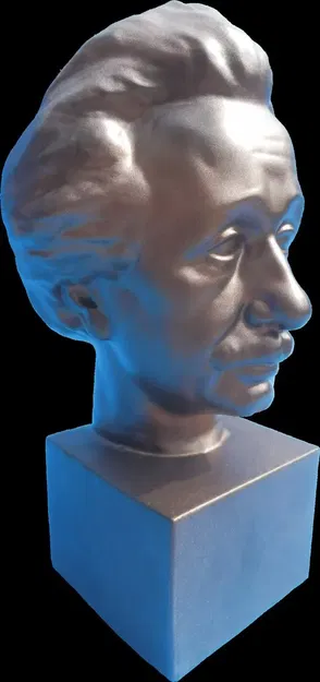 Tượng bán thân Albert Einstein quét 3D từ Usher Gallery - Image 6
