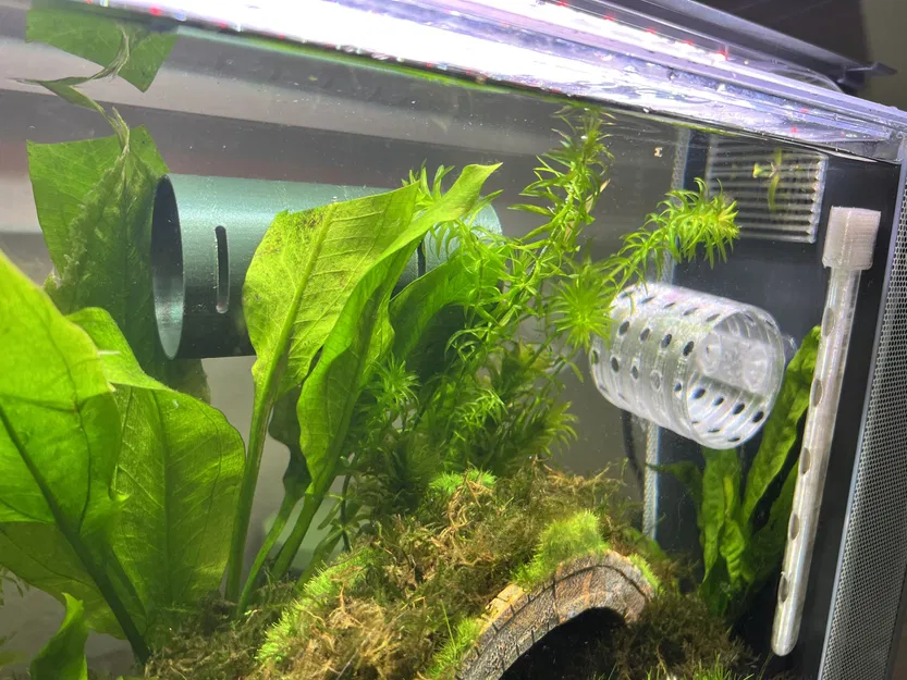 Hang Nổi Cho Cá Betta và Tôm Trong Bể Cá - Image 2