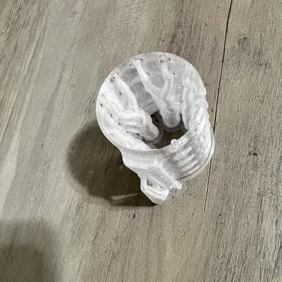 Hang Nổi Cho Cá Betta và Tôm Trong Bể Cá