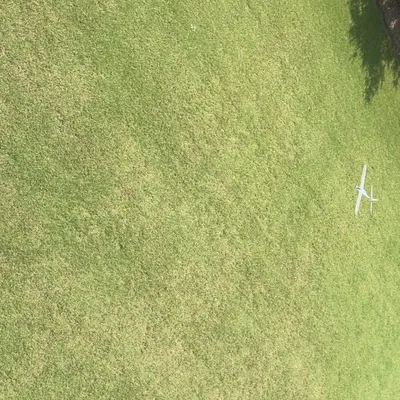 Glider kiểu low poly - in một lần