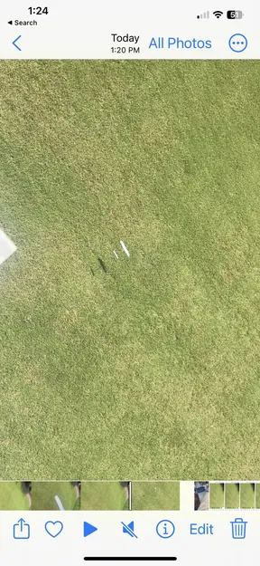 Glider kiểu low poly - in một lần - Image 3