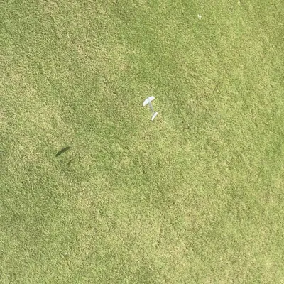 Glider kiểu low poly - in một lần