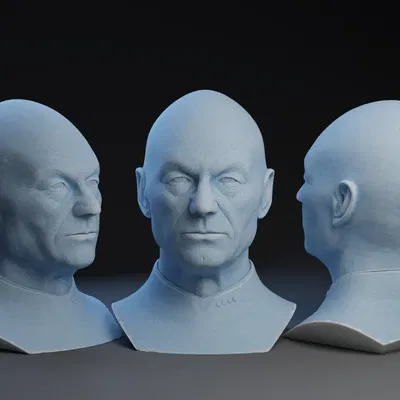 Tượng bán thân Jean-Luc Picard trong Star Trek