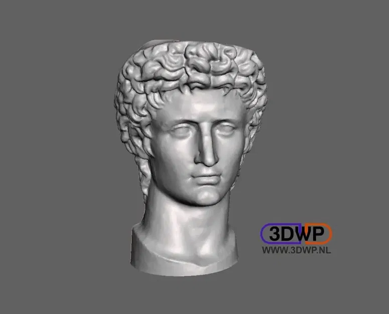 Đầu của Hoàng đế La Mã Augustus quét 3D tại Vatican - Image 1