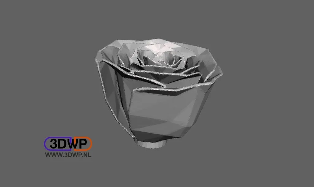 Hoa hồng Jillian được làm rắn chắc bằng MeshMixer - Image 2