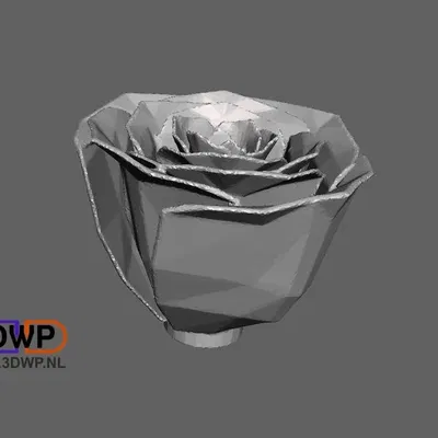 Hoa hồng Jillian được làm rắn chắc bằng MeshMixer