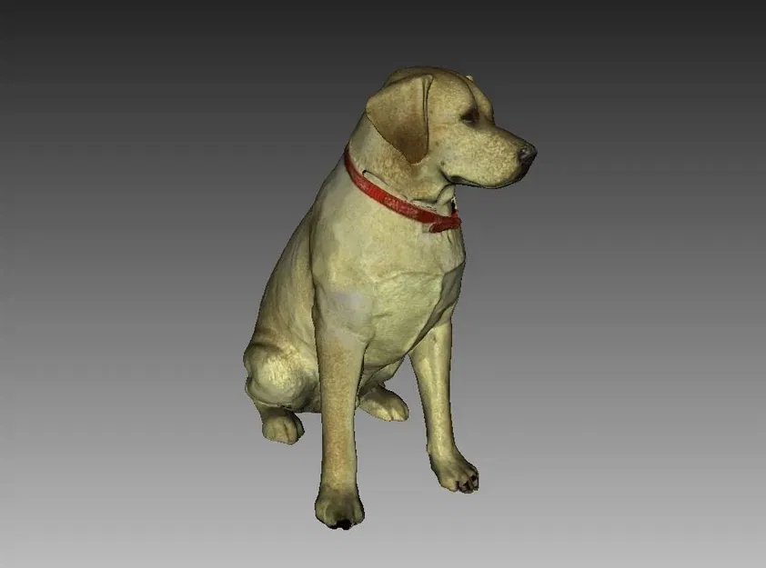 Tượng Labrador màu sắc quét 3D từ Artec Eva - Image 1