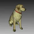 Tượng Labrador màu sắc quét 3D từ Artec Eva - Thumbnail 1