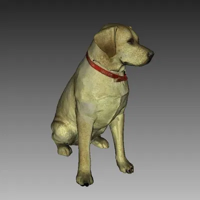 Tượng Labrador màu sắc quét 3D từ Artec Eva
