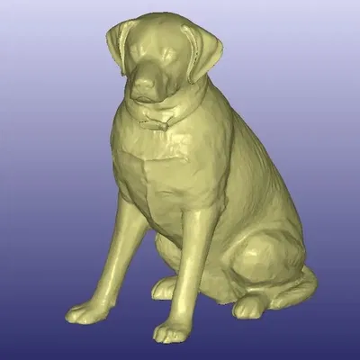 Tượng Labrador màu sắc quét 3D từ Artec Eva