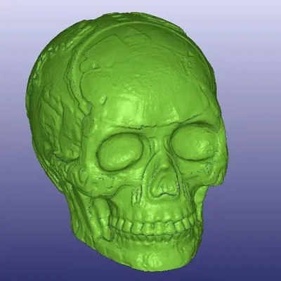 Bộ sọ Maya rỗng với đèn LED trang trí