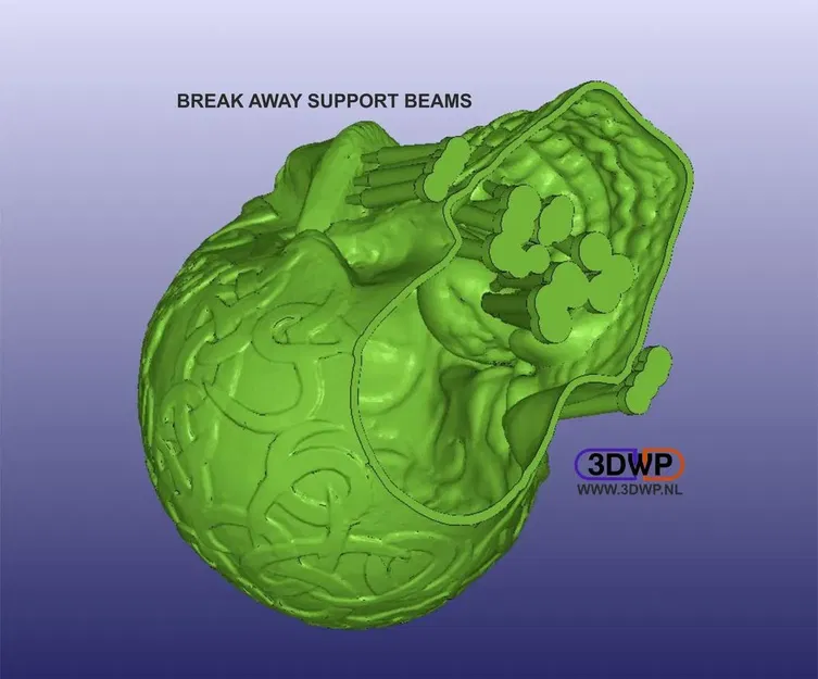Đầu lâu Celtic rỗng với đèn LED trang trí - Image 3