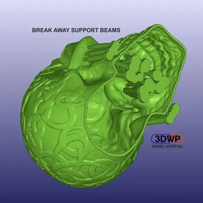 Đầu lâu Celtic rỗng với đèn LED trang trí