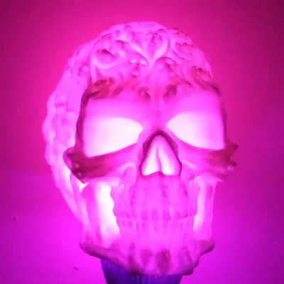 Đầu lâu ma quái rỗng để lắp đèn LED