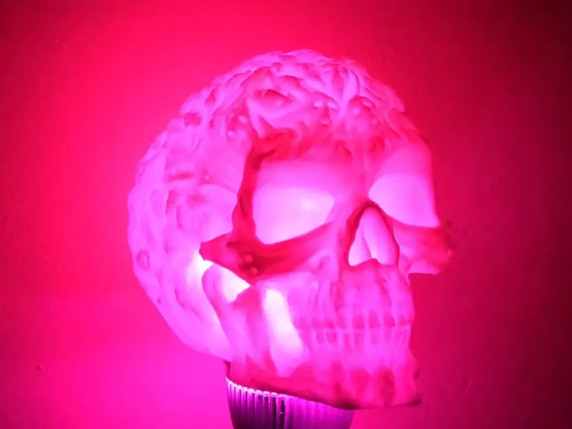 Đầu lâu ma quái rỗng để lắp đèn LED - Image 3