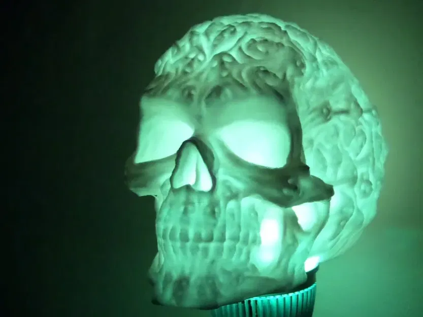 Đầu lâu ma quái rỗng để lắp đèn LED - Image 4