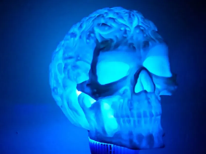 Đầu lâu ma quái rỗng để lắp đèn LED - Image 5