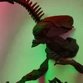 Giá đỡ tường nhân vật Nữ hoàng người ngoài hành tinh Xenomorph - Thumbnail 2