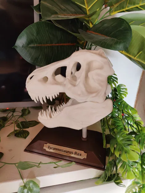 Biển tên tách rời khỏi đế in 2 màu sắc - Image 1