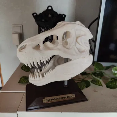 Biển tên tách rời khỏi đế in 2 màu sắc