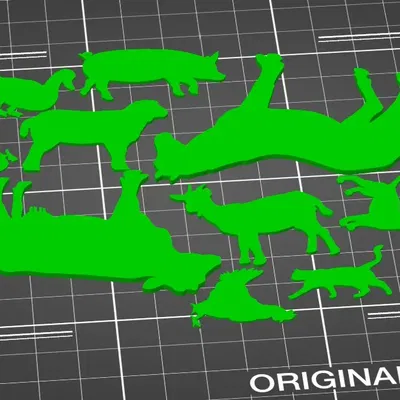 Mô hình động vật cho học sinh có nhu cầu đặc biệt