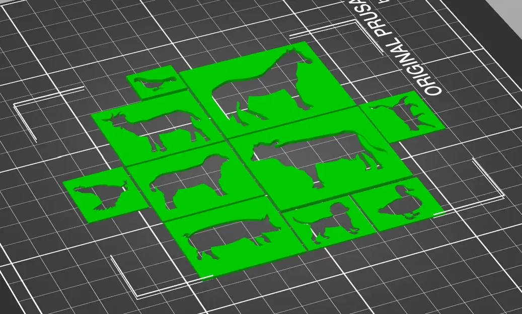 Mẫu hình động vật cho học sinh trường chuyên biệt - Image 1
