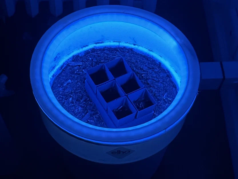 Nắp đèn LED chậu hoa 29cm - Bộ khuếch tán ánh sáng - Image 1