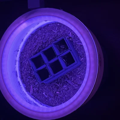 Nắp đèn LED chậu hoa 29cm - Bộ khuếch tán ánh sáng