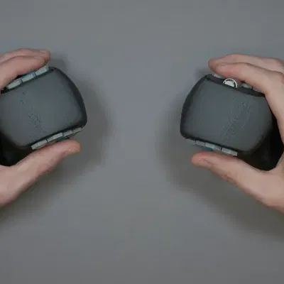 Con mèo (thuận tay trái và thuận tay phải)