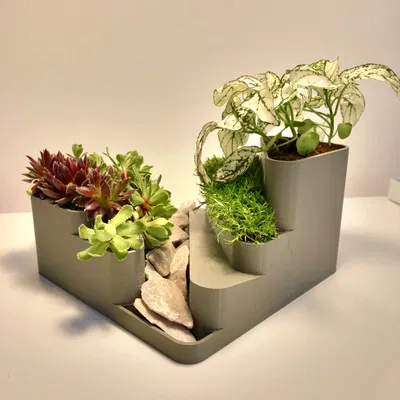 Vườn đá mini trang trí cho bàn làm việc