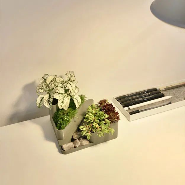 Vườn đá mini trang trí cho bàn làm việc - Image 2