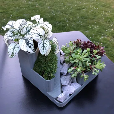 Vườn đá mini trang trí cho bàn làm việc