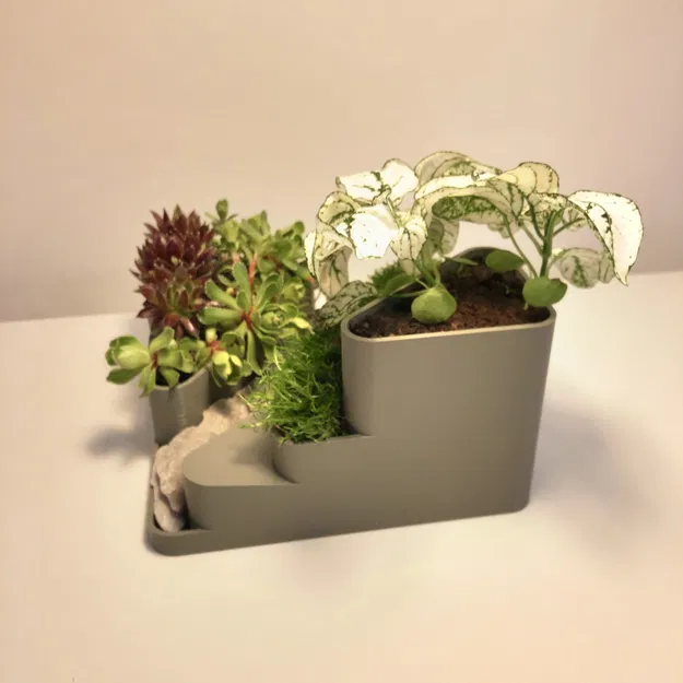 Vườn đá mini trang trí cho bàn làm việc - Image 5